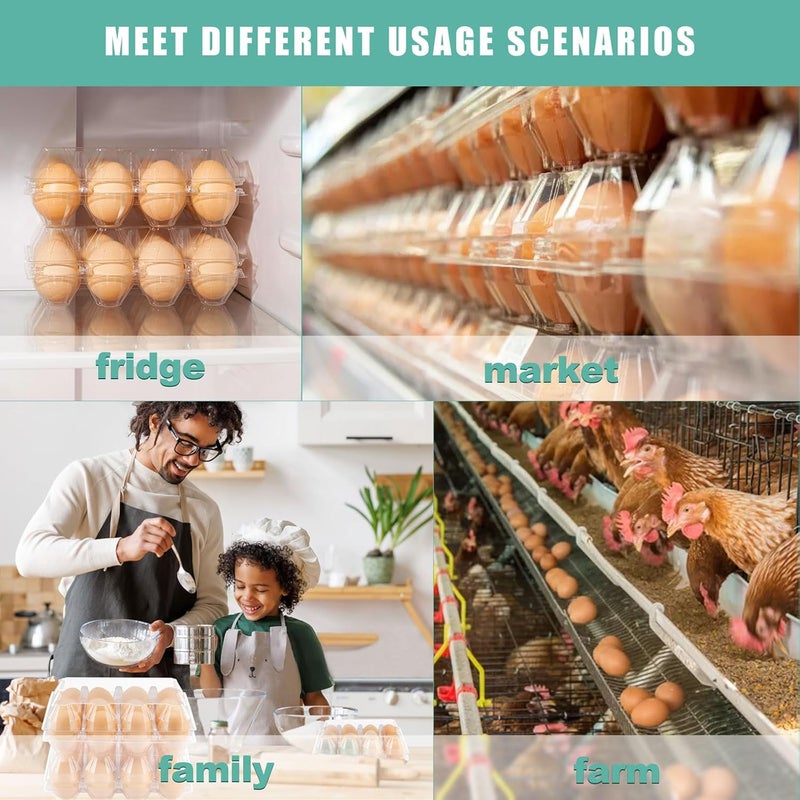 SINLUCESCE 50 Packs Egg Cartons Cheap Bulk，Plastic for 12 Eggs， Clear Egg Cartons 3 * 4 Grids，Perfect for Refrigerator Chicken Farm Markets Commercial Business Market Display - Image 5